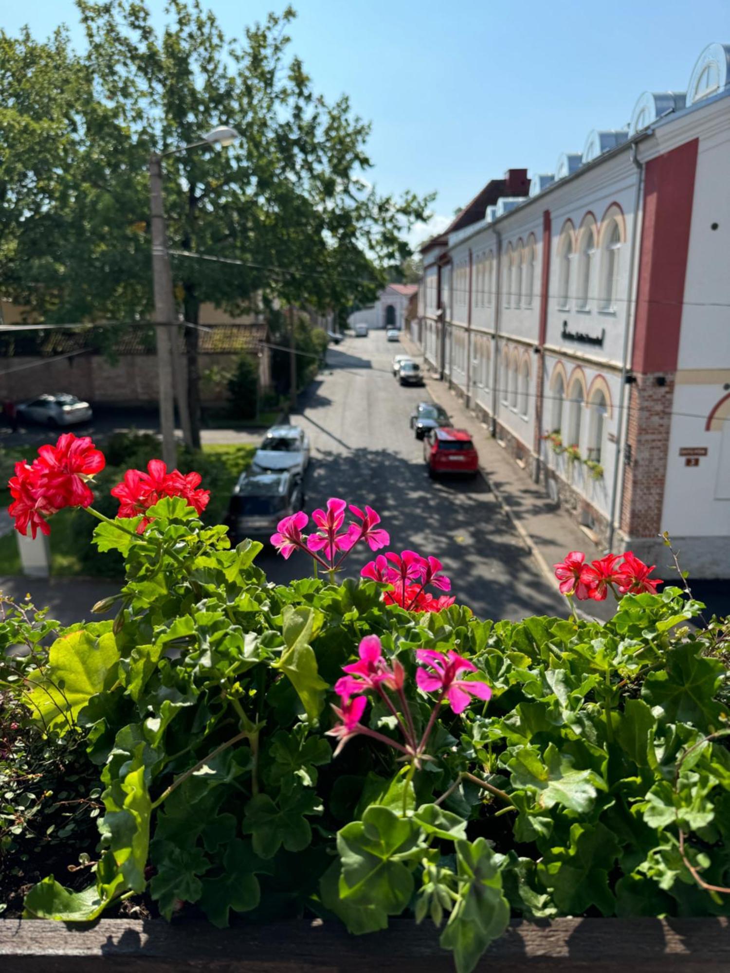 Ohtu Poik 4 City Center Apartment Pärnu Buitenkant foto